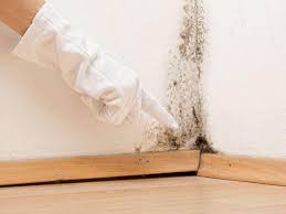 Best Basement Mold Removal  in Fulshear, TX